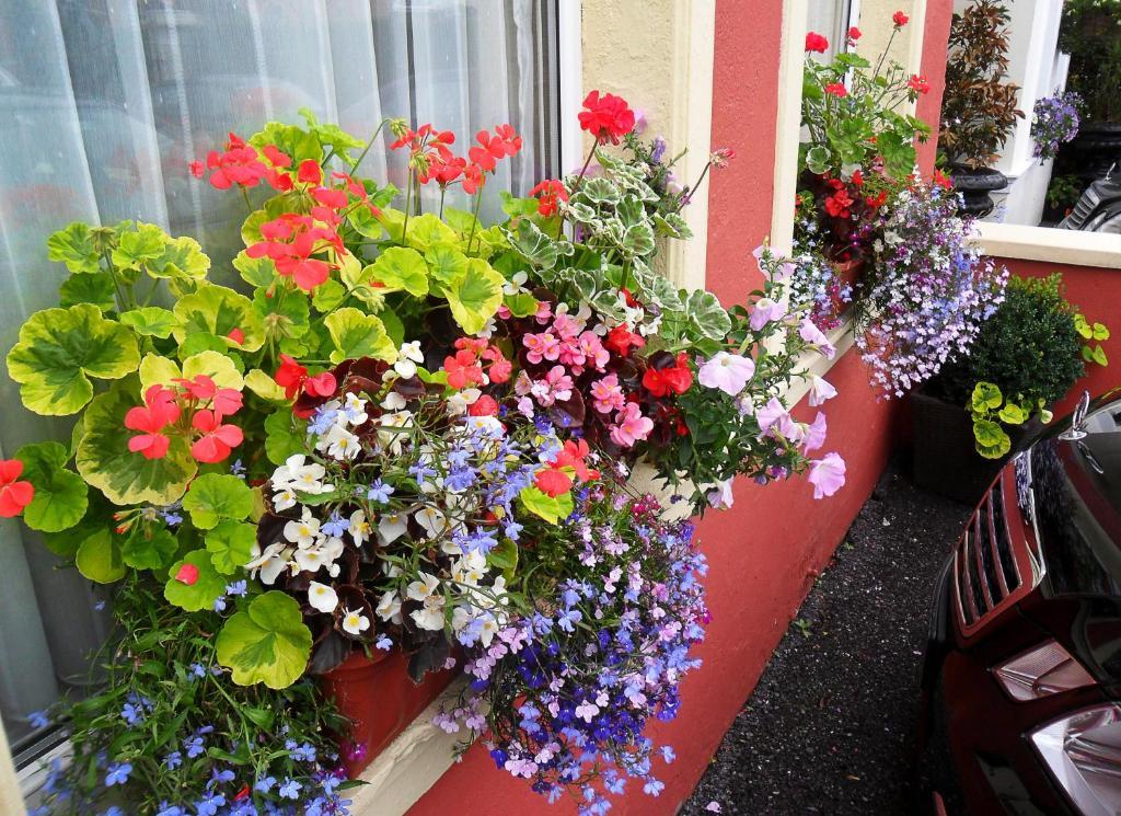 Hôtel Achill House à Cork Extérieur photo